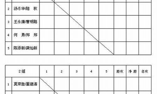 羽毛球单打比赛对阵表_羽毛球单打比赛对阵表格