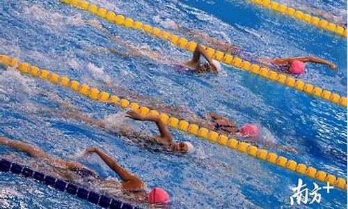游泳体育赛事资料有哪些_游泳体育赛事资料有哪些内容